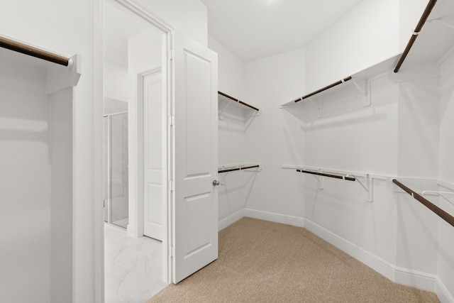 walk in closet featuring light colored carpet