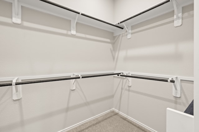 spacious closet with carpet flooring