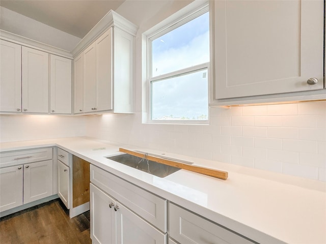 kitchen with tasteful backsplash, white cabinetry, plenty of natural light, and dark hardwood / wood-style flooring