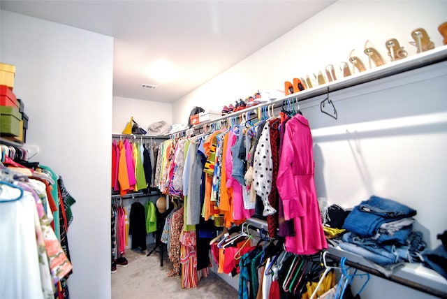 spacious closet with carpet