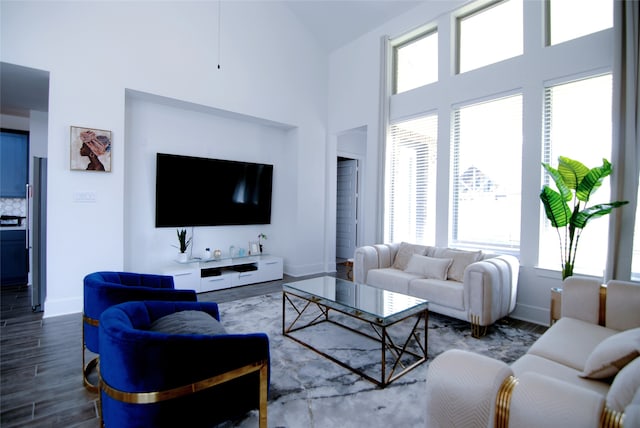 living room with wood-type flooring, plenty of natural light, and a high ceiling