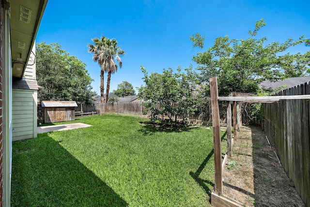 view of yard featuring a storage unit