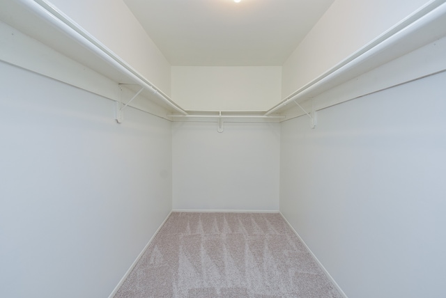 spacious closet with carpet floors