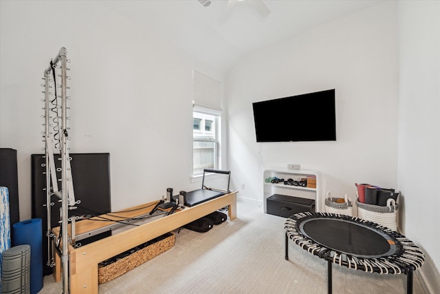 interior space with vaulted ceiling and carpet flooring