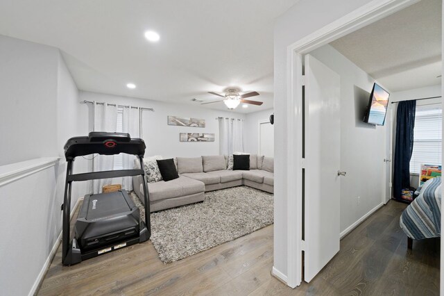 exercise room featuring plenty of natural light, ceiling fan, and wood-type flooring