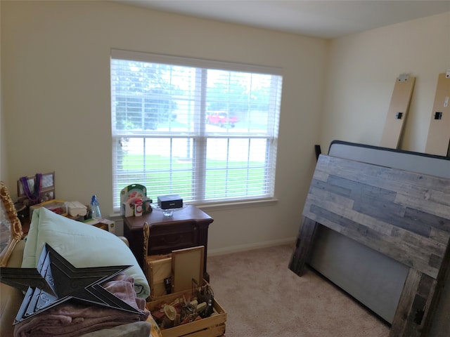 interior space featuring a wealth of natural light and carpet floors