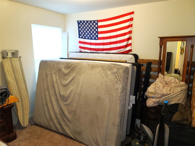 bedroom with carpet