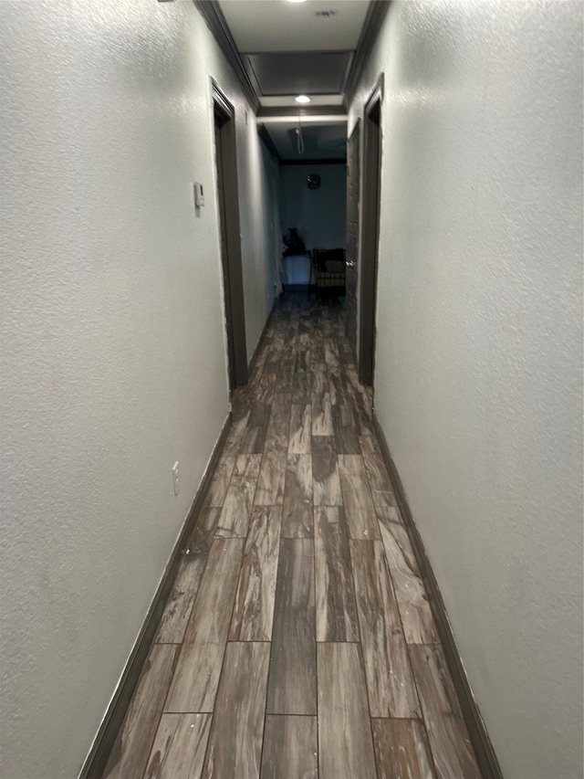 hallway featuring dark wood-type flooring