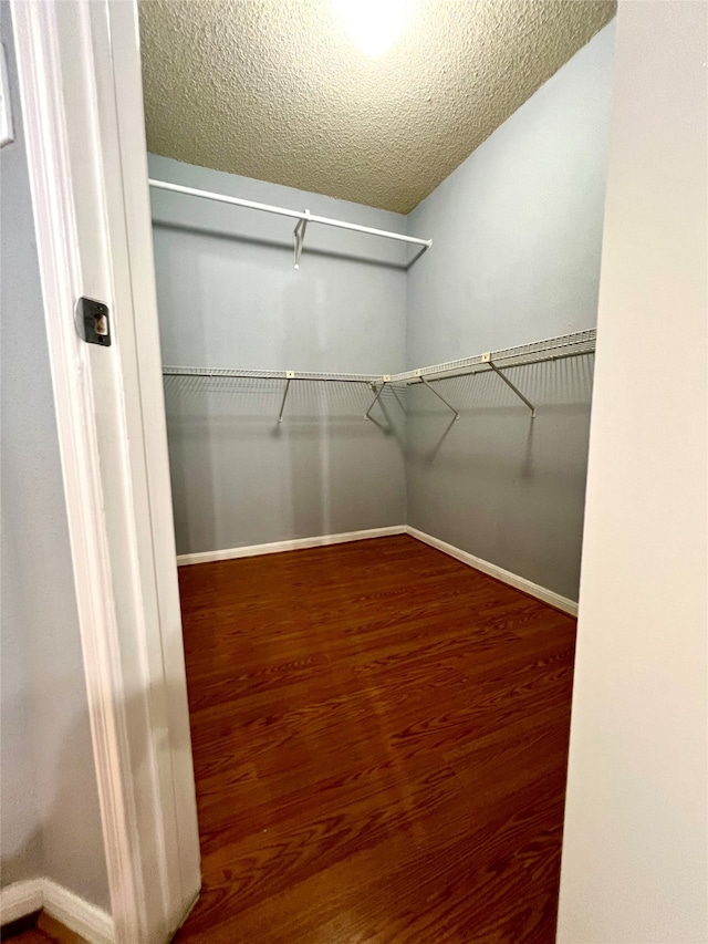 spacious closet featuring wood-type flooring