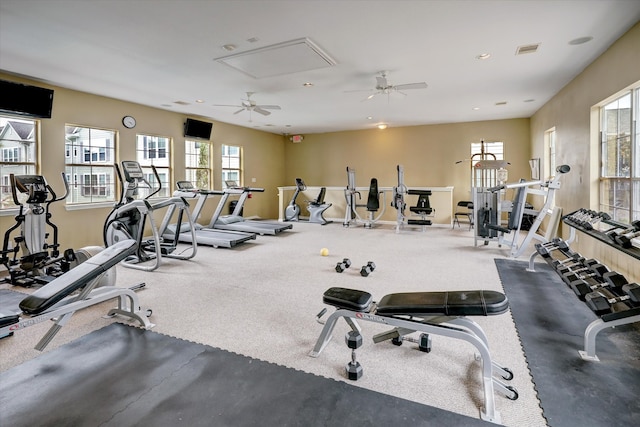 workout area featuring a wealth of natural light, ceiling fan, and carpet flooring