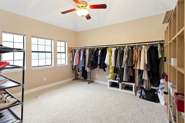 walk in closet with ceiling fan and carpet floors