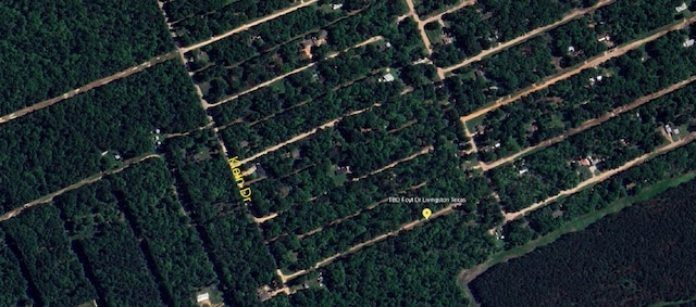 TBD Foyt Dr, Livingston TX, 77351 land for sale