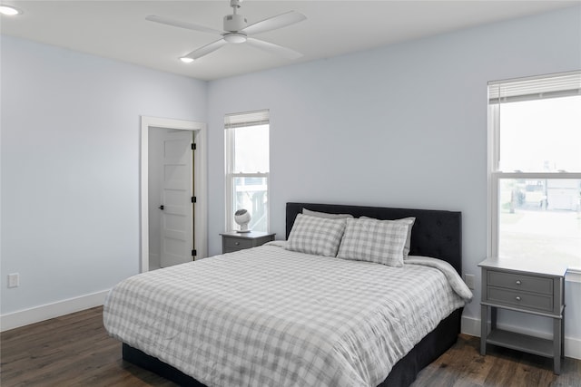 bedroom featuring multiple windows and dark hardwood / wood-style flooring