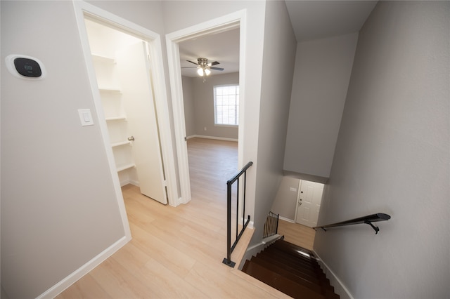 staircase with ceiling fan and hardwood / wood-style flooring