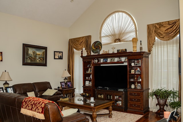 living room featuring hardwood / wood-style flooring, plenty of natural light, and vaulted ceiling