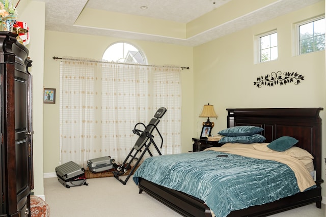 bedroom featuring carpet and a tray ceiling