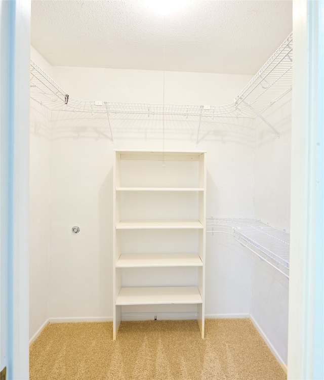 spacious closet with light carpet