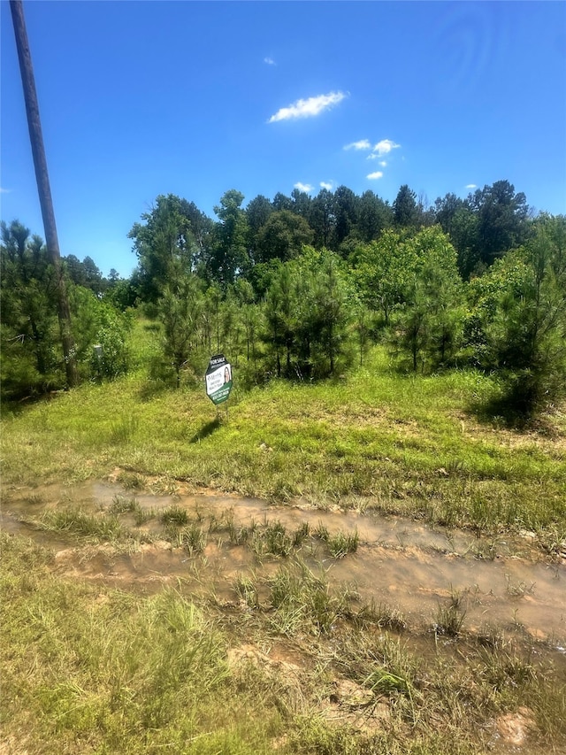 579 County Road 5005, Cleveland TX, 77327 land for sale