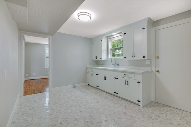 interior space featuring wood-type flooring and vanity