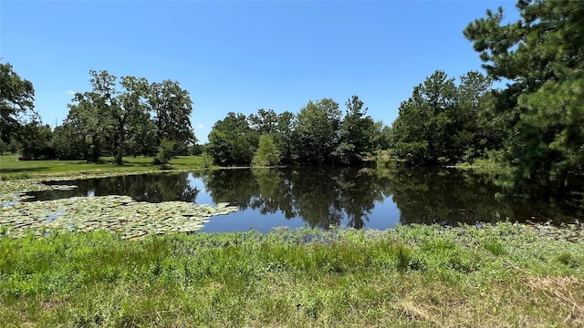 11352 Hwy 90 N, Bedias TX, 77831 land for sale