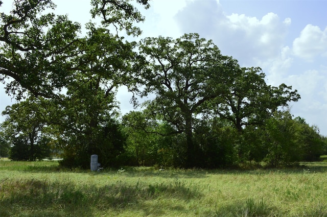 Listing photo 2 for 11352 Hwy 90 N, Bedias TX 77831