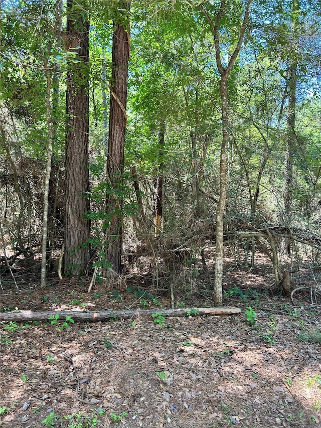 Listing photo 3 for TBD Kelly Rd, Magnolia TX 77355