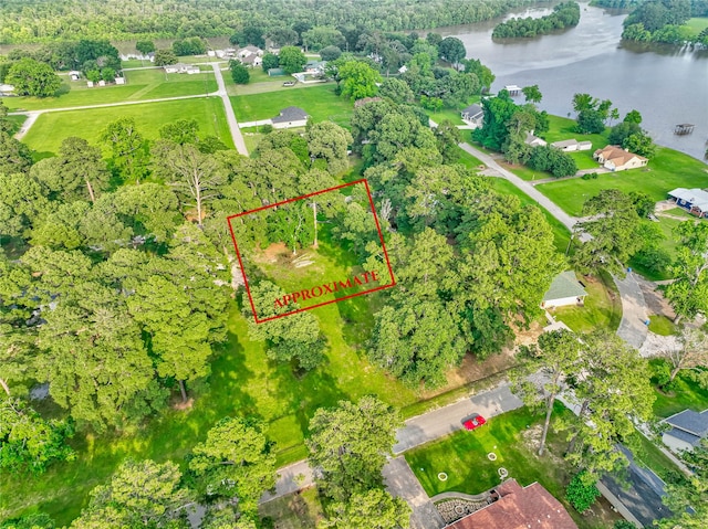 0 Hermitage St, Trinity TX, 75862 land for sale