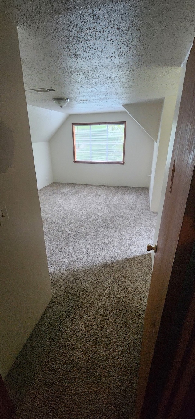 additional living space with carpet floors, a textured ceiling, and vaulted ceiling