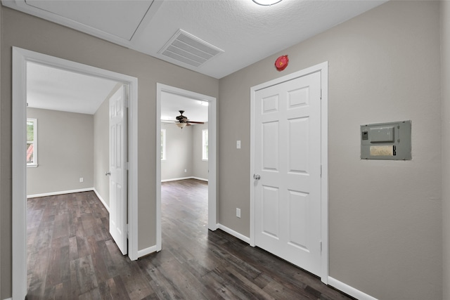 hall featuring dark wood-type flooring