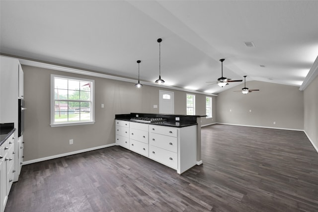 kitchen with dark hardwood / wood-style floors, plenty of natural light, hanging light fixtures, and white cabinetry