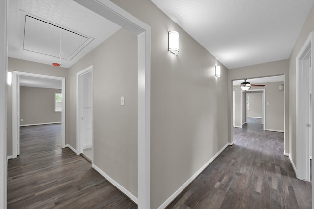 hallway featuring dark hardwood / wood-style floors