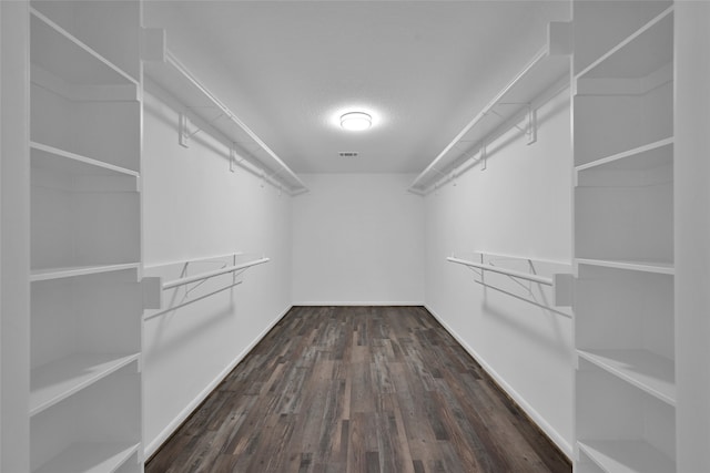 spacious closet featuring dark wood-type flooring