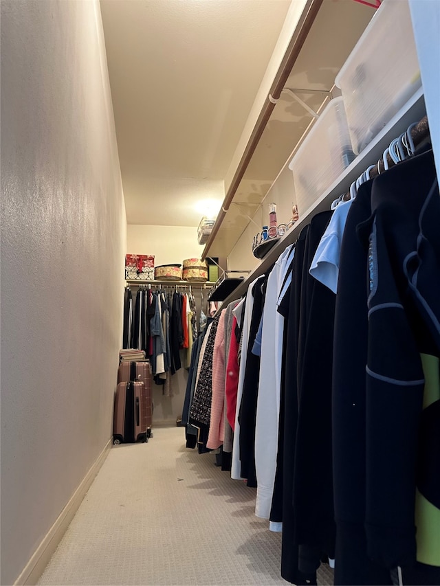 walk in closet with carpet flooring