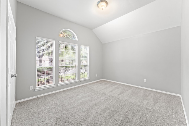 carpeted empty room with plenty of natural light and lofted ceiling