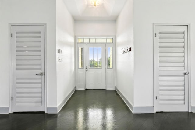 foyer featuring dark wood-type flooring