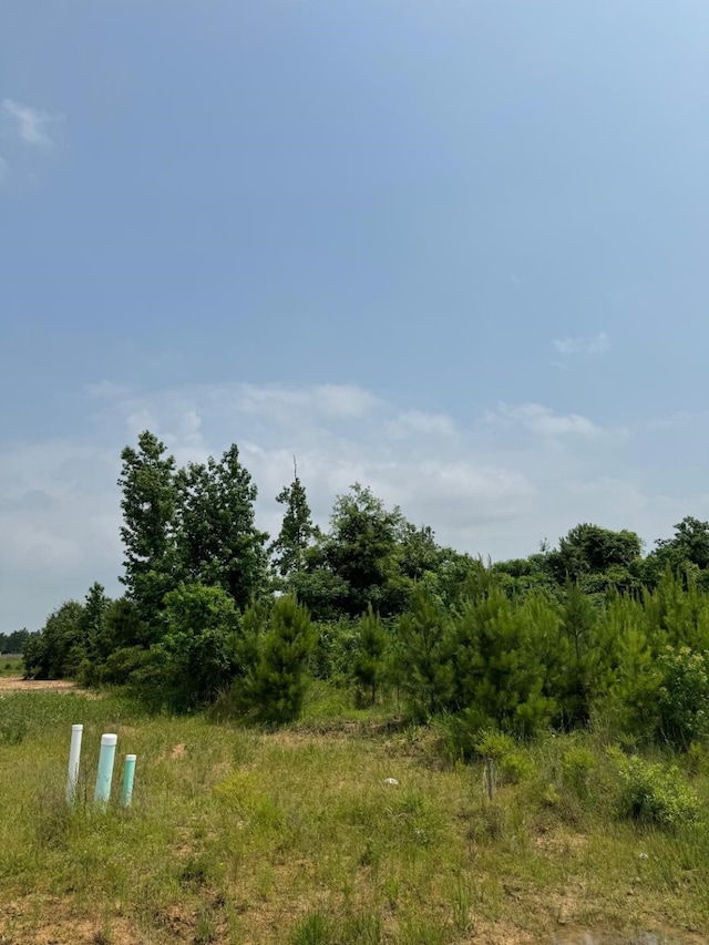 424 Rd 5252, Cleveland TX, 77327 land for sale