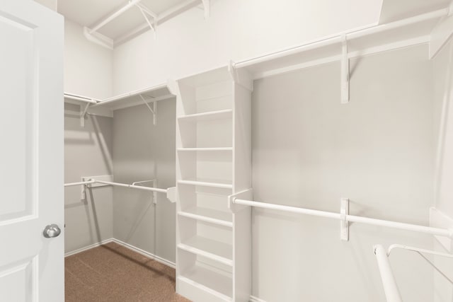 walk in closet featuring carpet floors