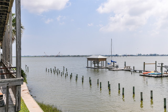 dock area with a water view