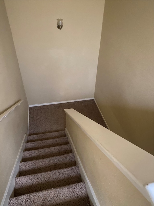 staircase with carpet floors