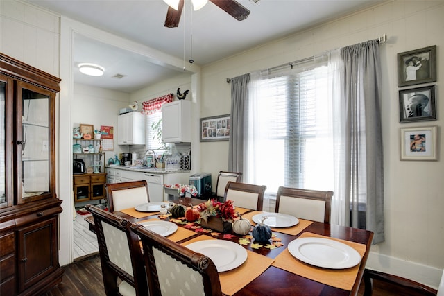 dining area featuring ceiling fan, sink, and dark wood-type flooring