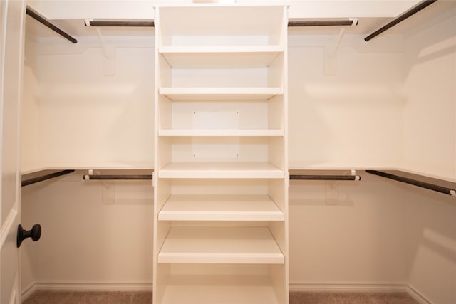 spacious closet with carpet floors