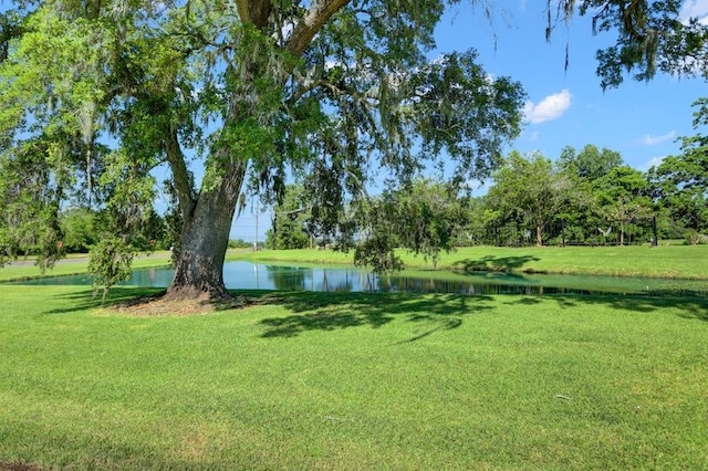 125 Stage Coach Trl, Angleton TX, 77515 land for sale