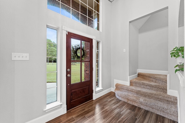 foyer entrance with dark hardwood / wood-style floors and a healthy amount of sunlight