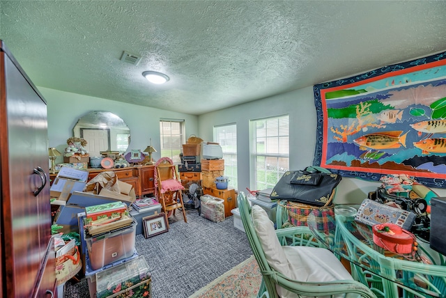 interior space with carpet floors and a textured ceiling