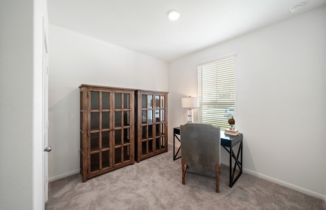 home office with light colored carpet