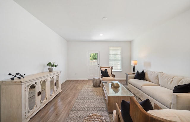 living room featuring hardwood / wood-style floors