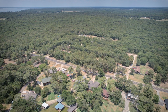 view of bird's eye view