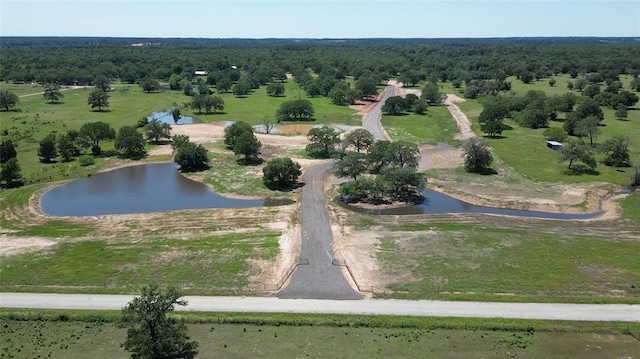 431 Nink Rd, Smithville TX, 78957 land for sale