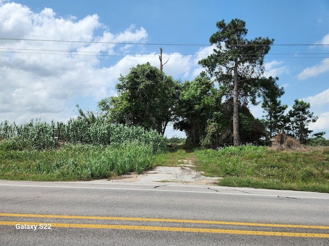 40224 Fm 1488th Rd, Hempstead, TX 77445 - photo 3