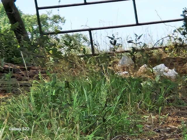 40224 Fm 1488th Rd, Hempstead, TX 77445 - photo 9